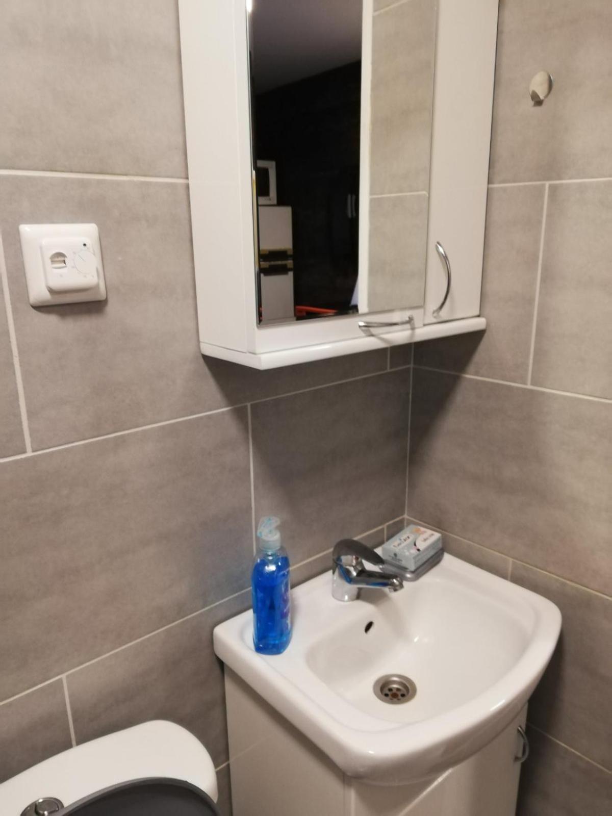 Stara Etno Kuca Radonjic Villa Guca Room photo