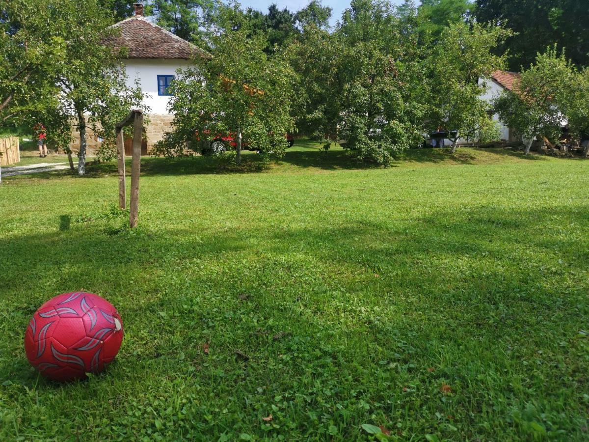 Stara Etno Kuca Radonjic Villa Guca Exterior photo